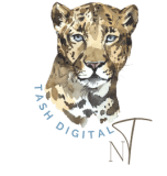 tashdigitalsolutions.com
