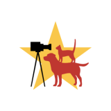 Pawsitively Famous LLC